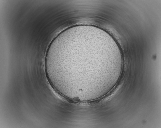 X0000097611041200803211718