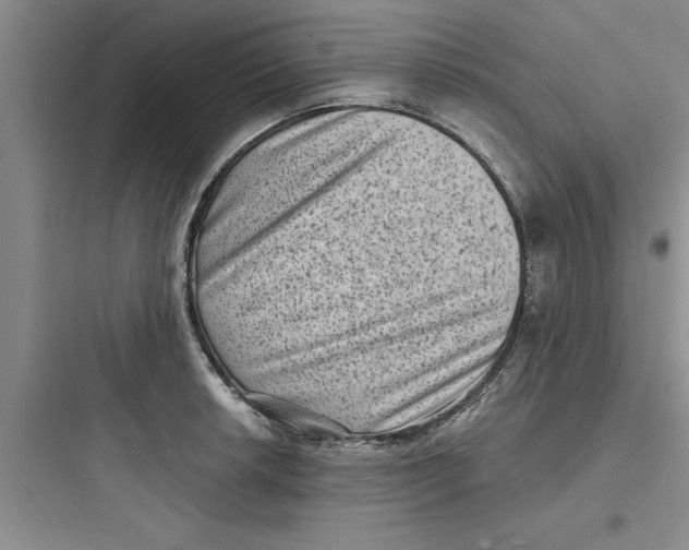 X0000097611042200803211718