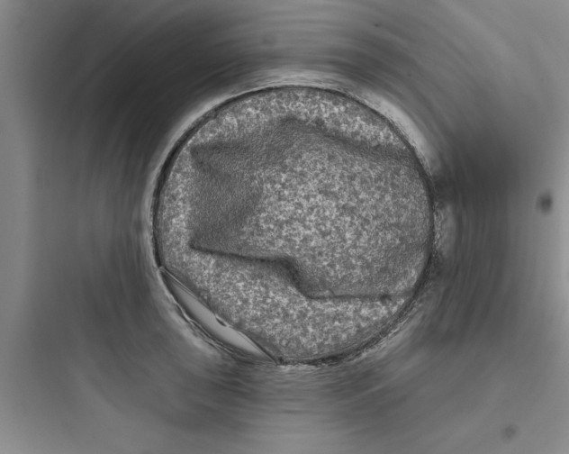 X0000097611043200803211718