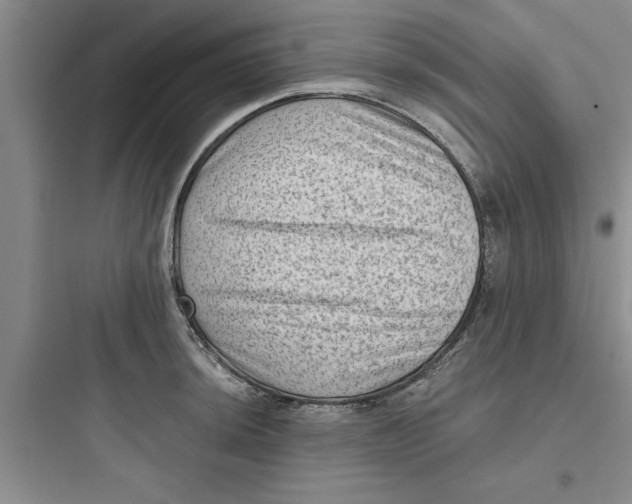 X0000097611044200803211718