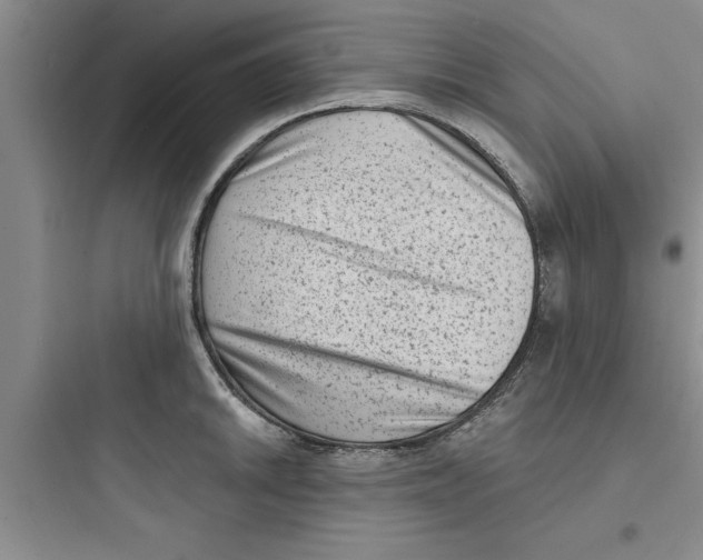 X0000097611046200803211718