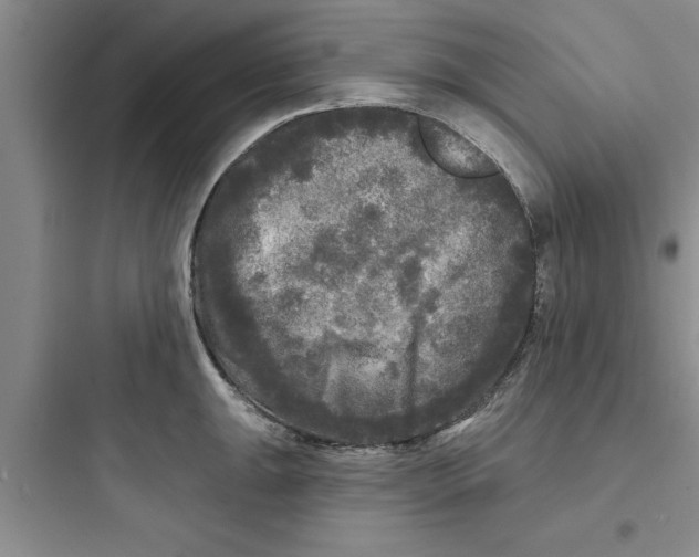 X0000097611047200803211718