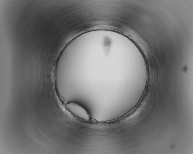 X0000097611049200803211718