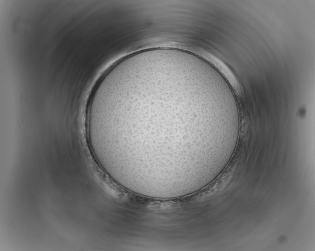 X0000097611051200803211718