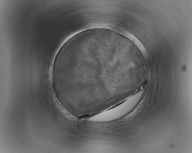 X0000097611052200803211718