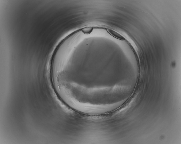 X0000097611053200803211718