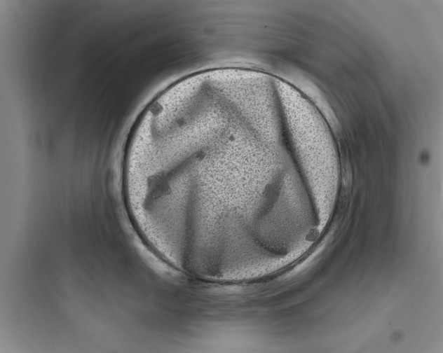 X0000097611054200803211719