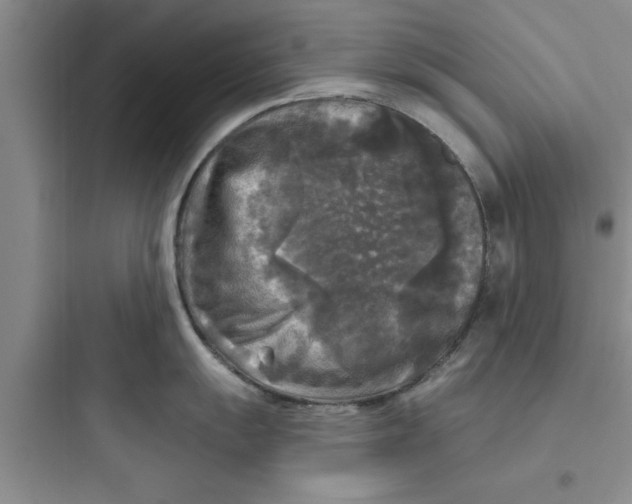 X0000097611055200803211719