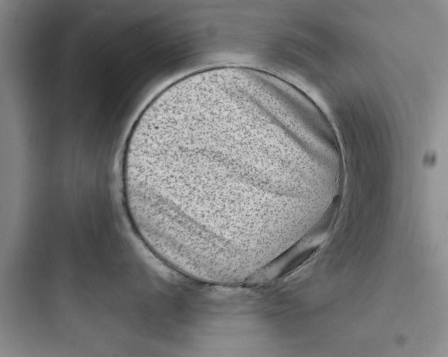 X0000097611056200803211719