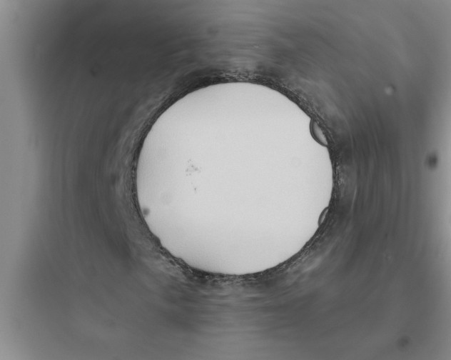 X0000097611057200803211718