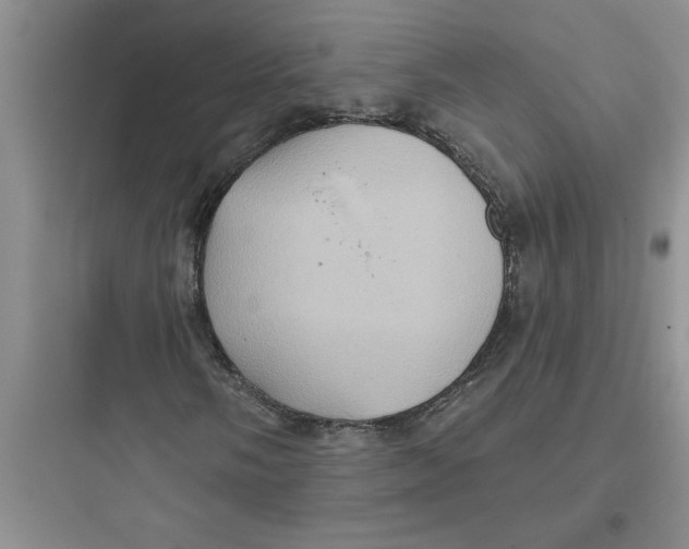 X0000097611058200803211718