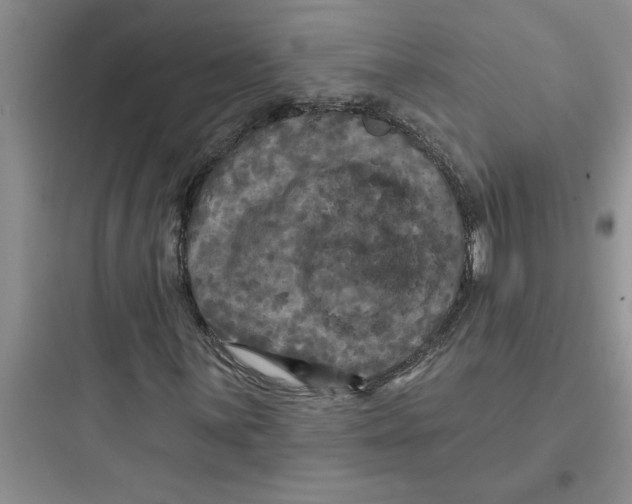 X0000097611059200803211718