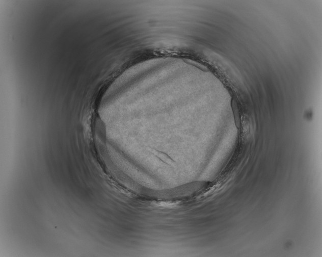 X0000097611060200803211718