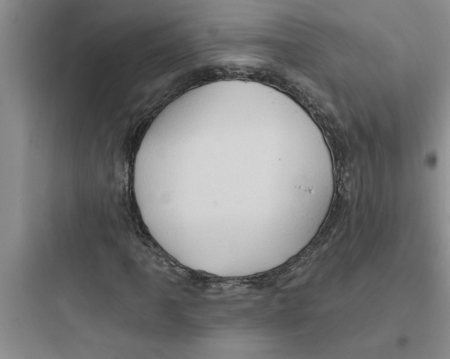 X0000097611061200803211718