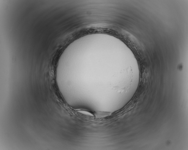 X0000097611062200803211718