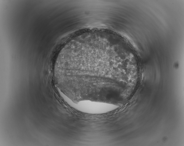 X0000097611063200803211718