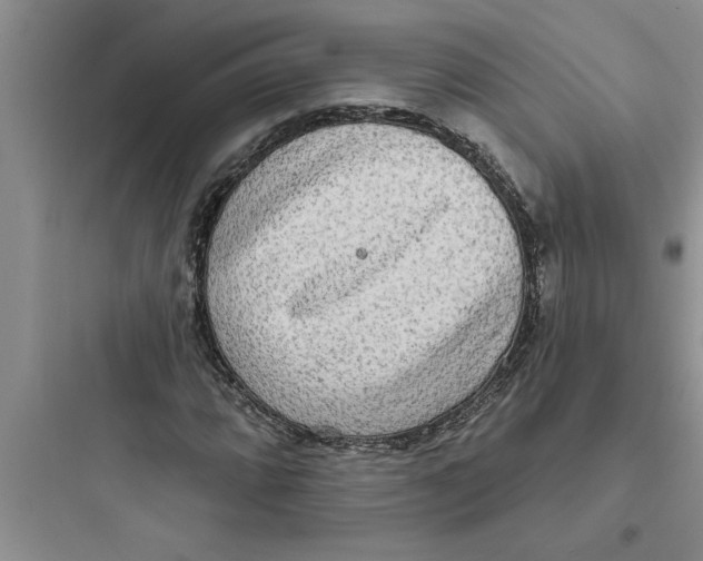 X0000097611064200803211718