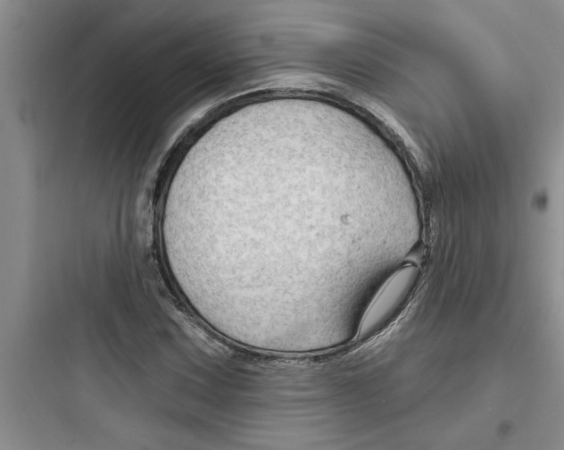 X0000097611067200803211718