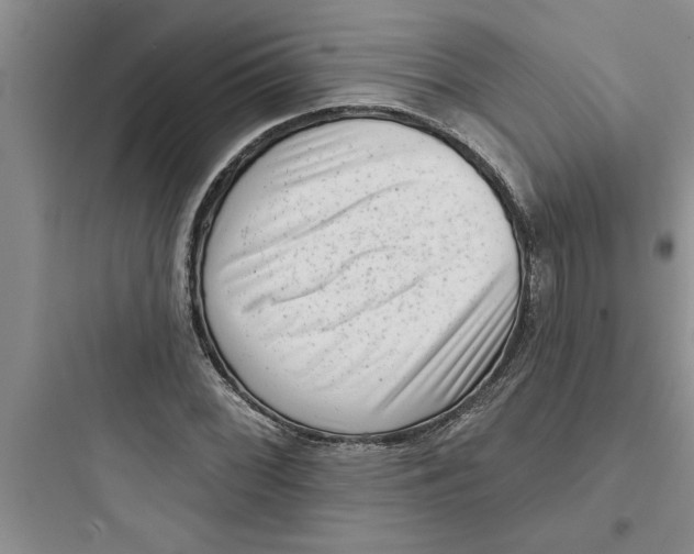 X0000097611068200803211718