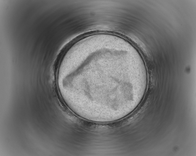 X0000097611070200803211718