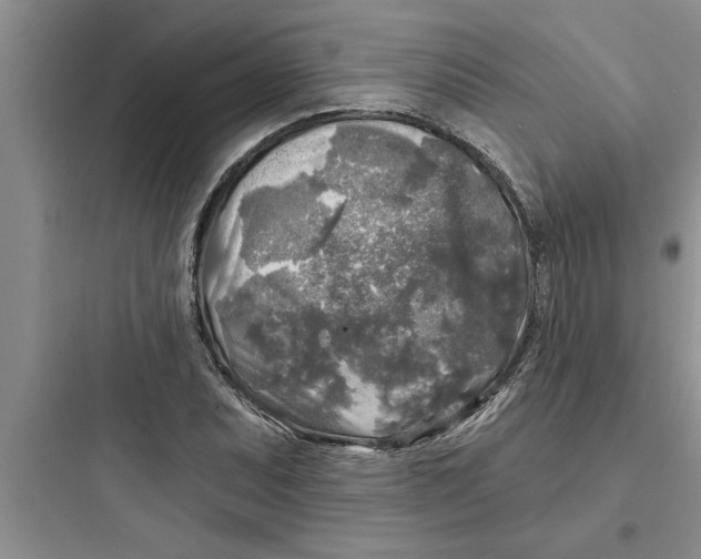 X0000097611071200803211718