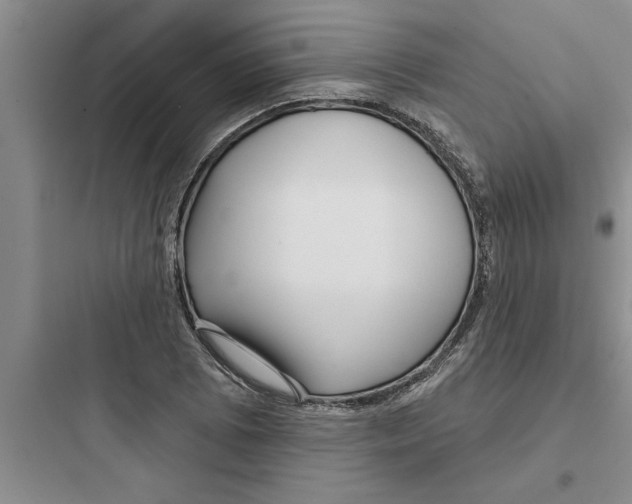 X0000097611073200803211717