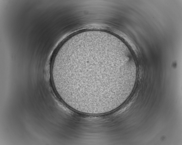 X0000097611075200803211717