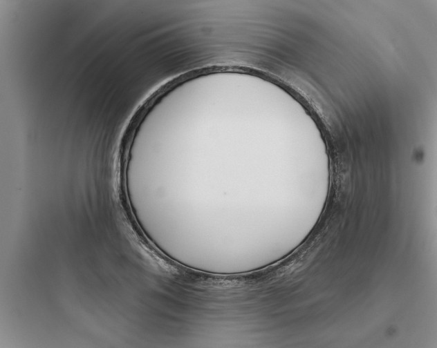 X0000097611076200803211717