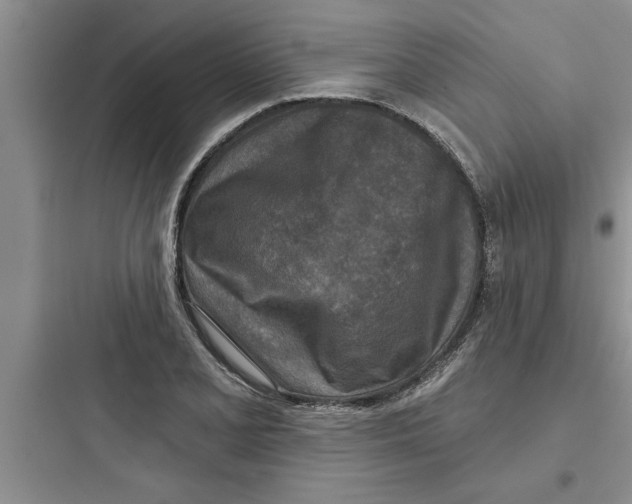 X0000097611077200803211717