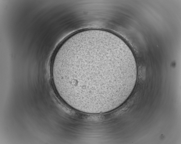 X0000097611078200803211717