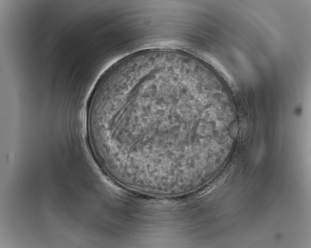 X0000097611079200803211717