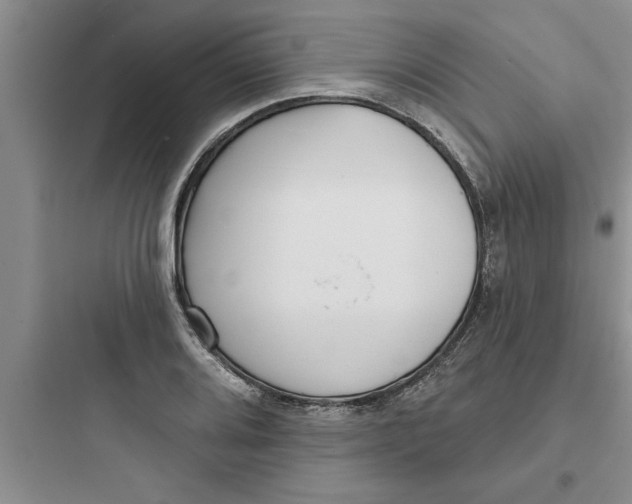 X0000097611080200803211717