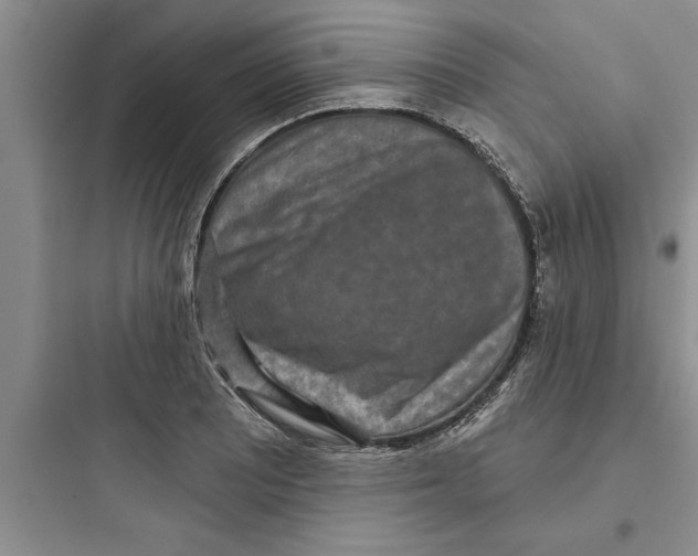 X0000097611081200803211717