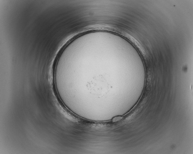 X0000097611082200803211717