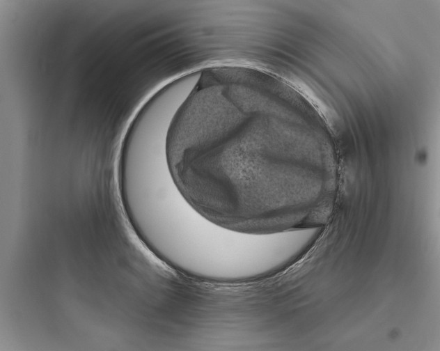 X0000097611084200803211717