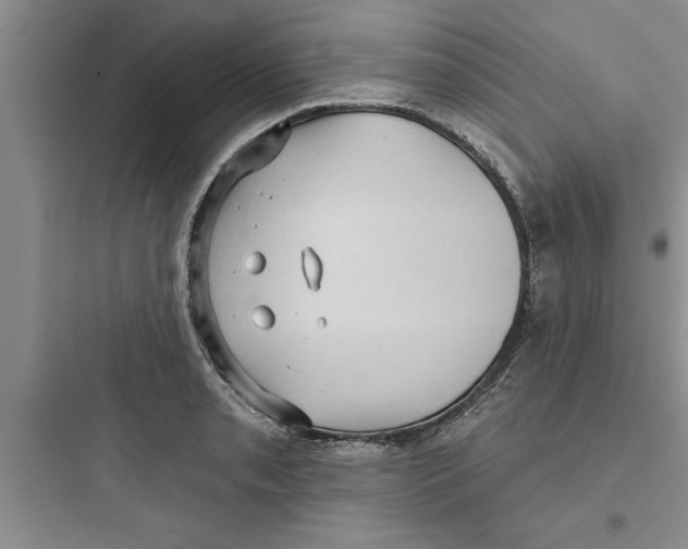 X0000097611085200803211717