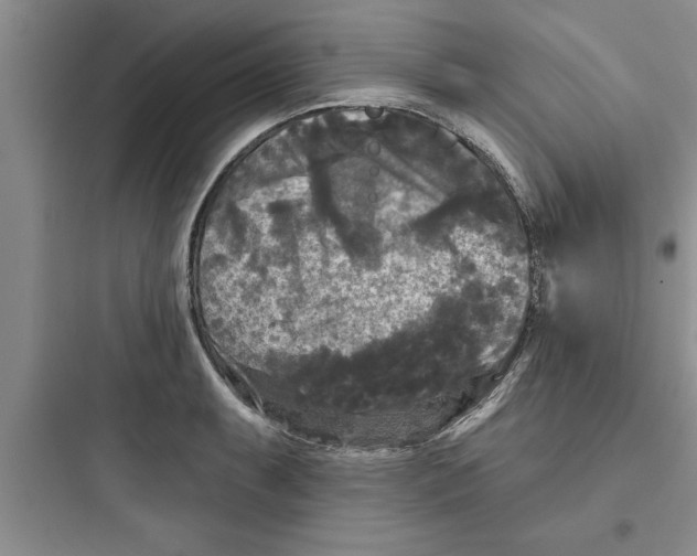 X0000097611087200803211717