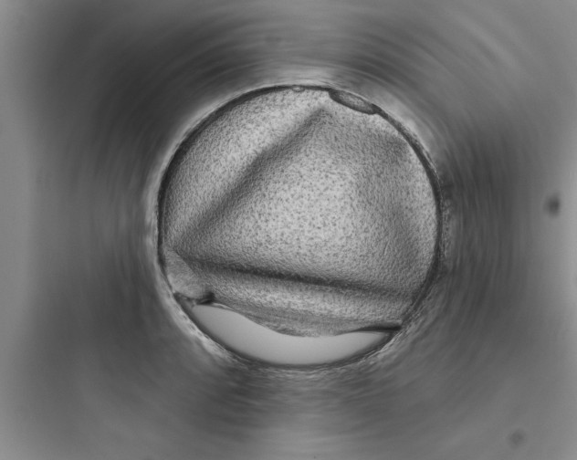 X0000097611088200803211717