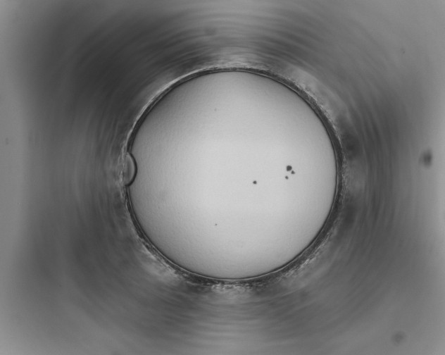 X0000097611089200803211717