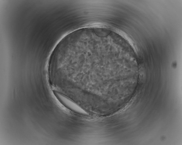 X0000097611091200803211717