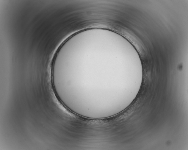 X0000097611092200803211717