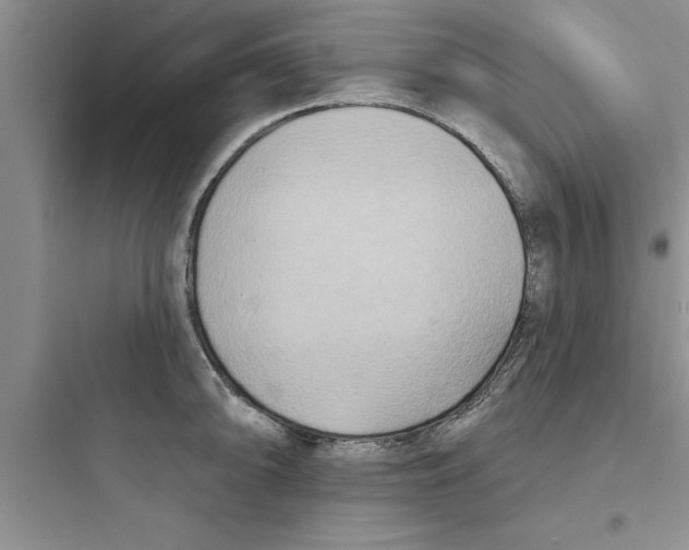 X0000097611094200803211717