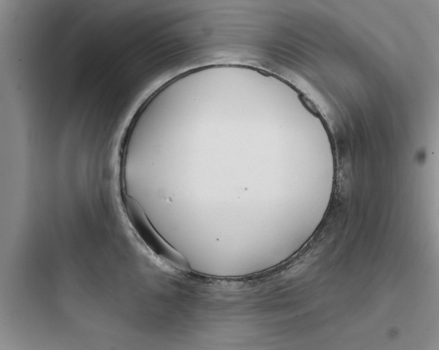 X0000097611096200803211717