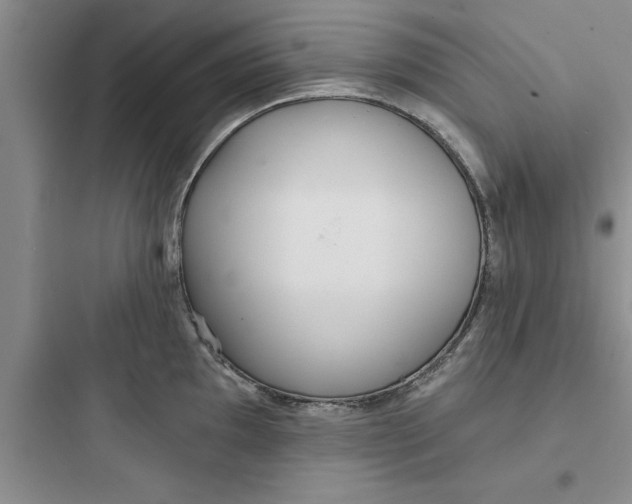 X0000097611097200803211717