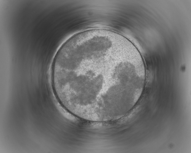 X0000097611098200803211717