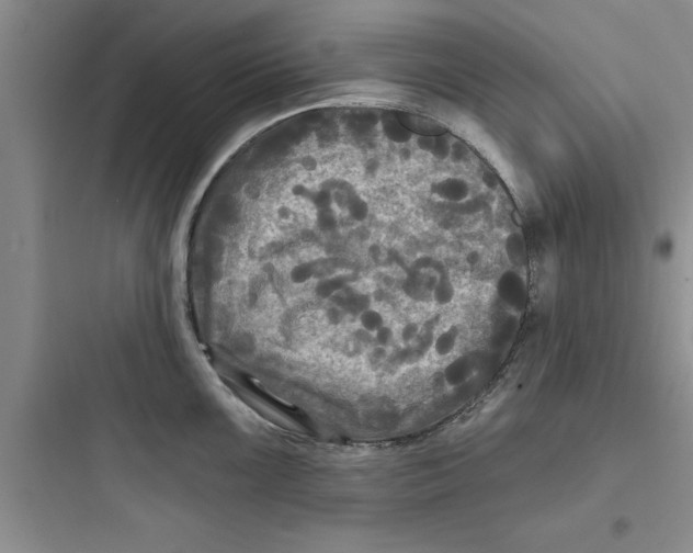 X0000097611099200803211717