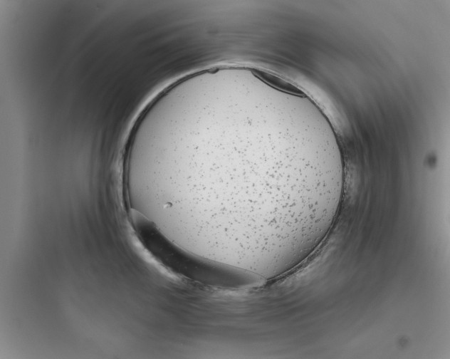 X0000097611100200803211717