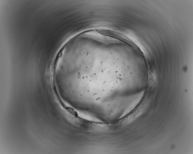 X0000097611101200803211717