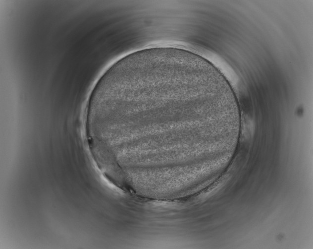 X0000097611102200803211717