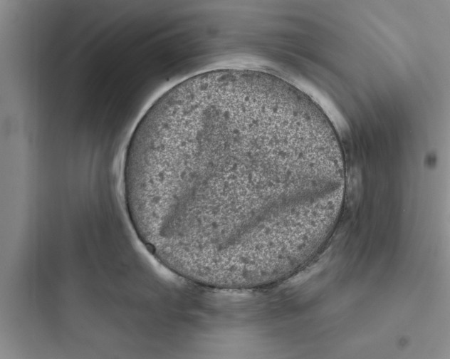 X0000097611103200803211717